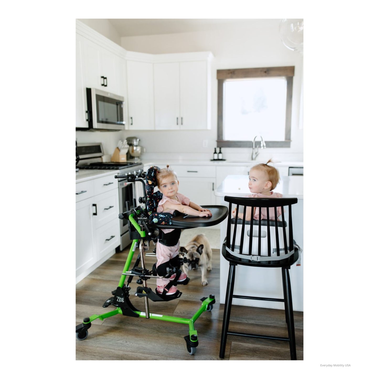 Zing MPS Size 1 Packages (PA5520)